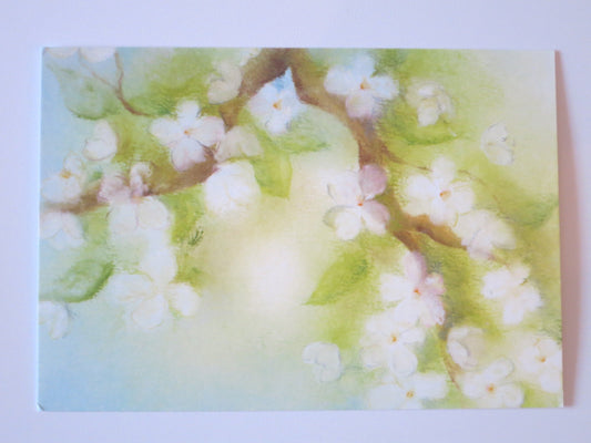 Blütenzweig - Postkarte -Art.PKFR116