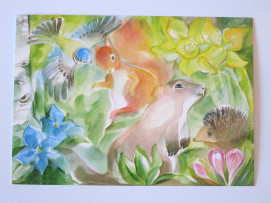 Frühlingsfreude  - Postkarte  Art.PKFR199