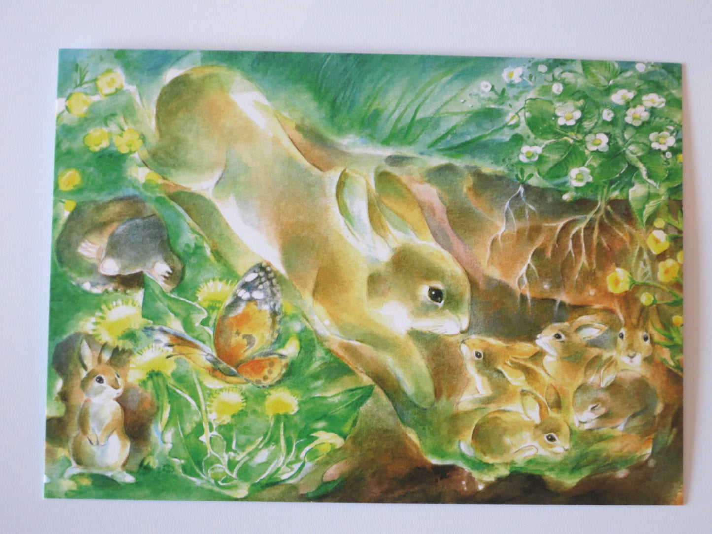 Hasenliebe  - Postkarte Art.PKFR203