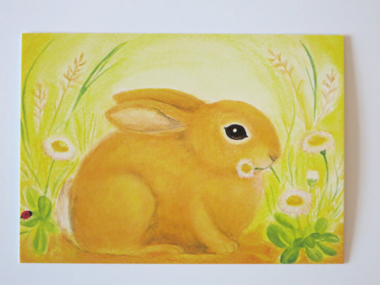 Häschen -  Postkarte - Waldorf Art.PKFR192