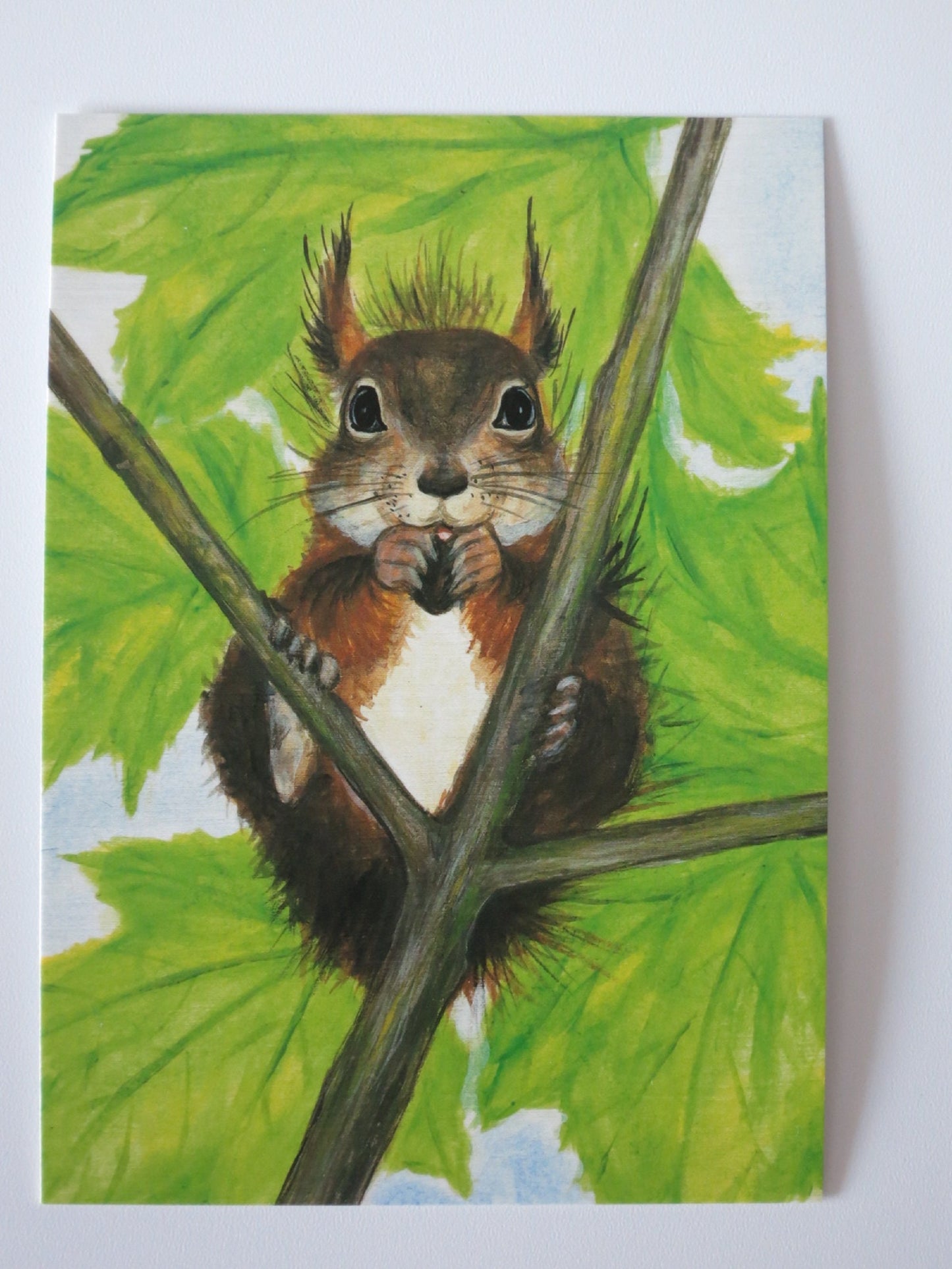 Eichhörnchen mit Nuss - Postkarte - Art. PKHE182