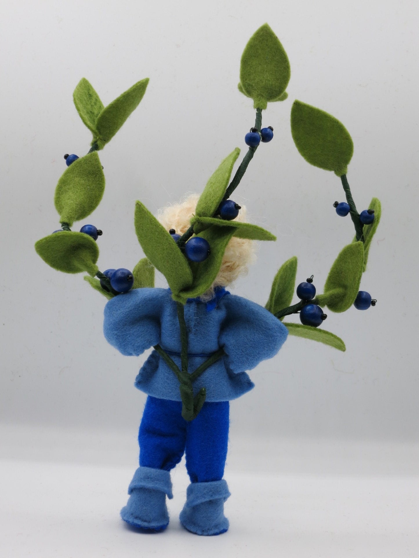 Heidelbeere Junge- Blumenkind - Art. SO62