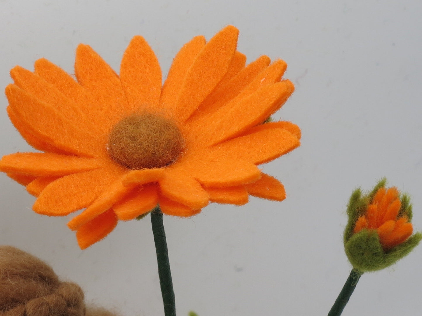 Ringelblume - Calendula - Blumenkind  - Art. SO44