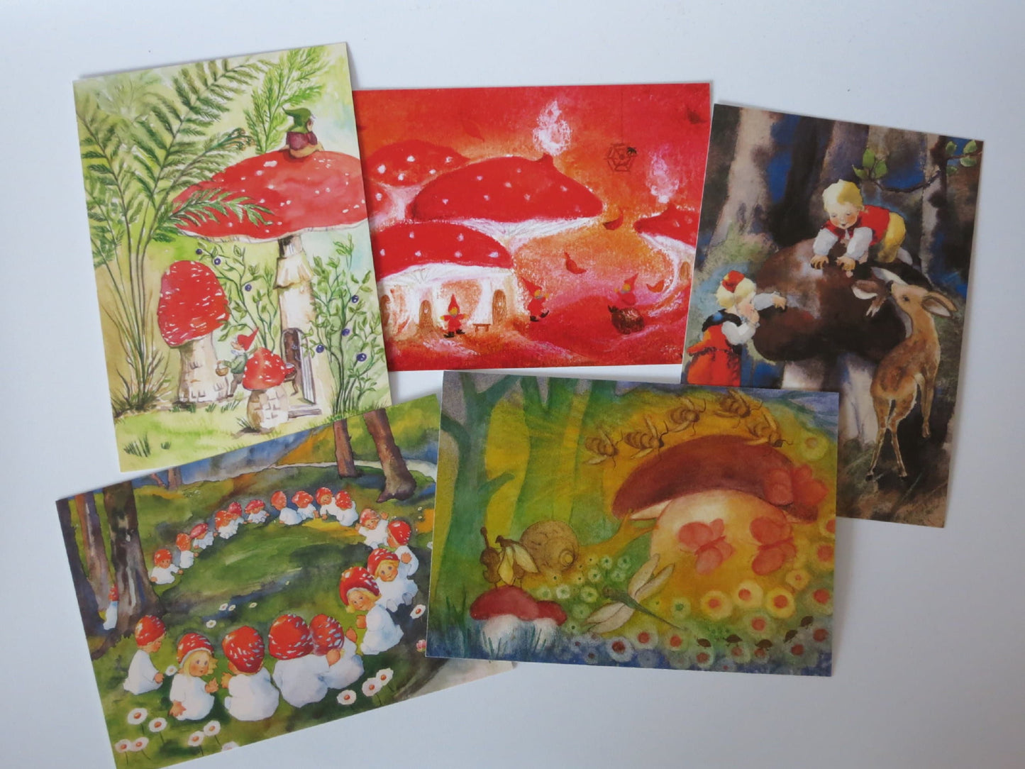 Postkarten Set Pilze -  5 Postkarten Art.PKS8