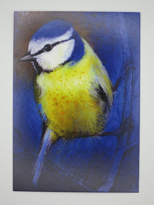 Blaumeise - Postkarte - Art.PKFR209