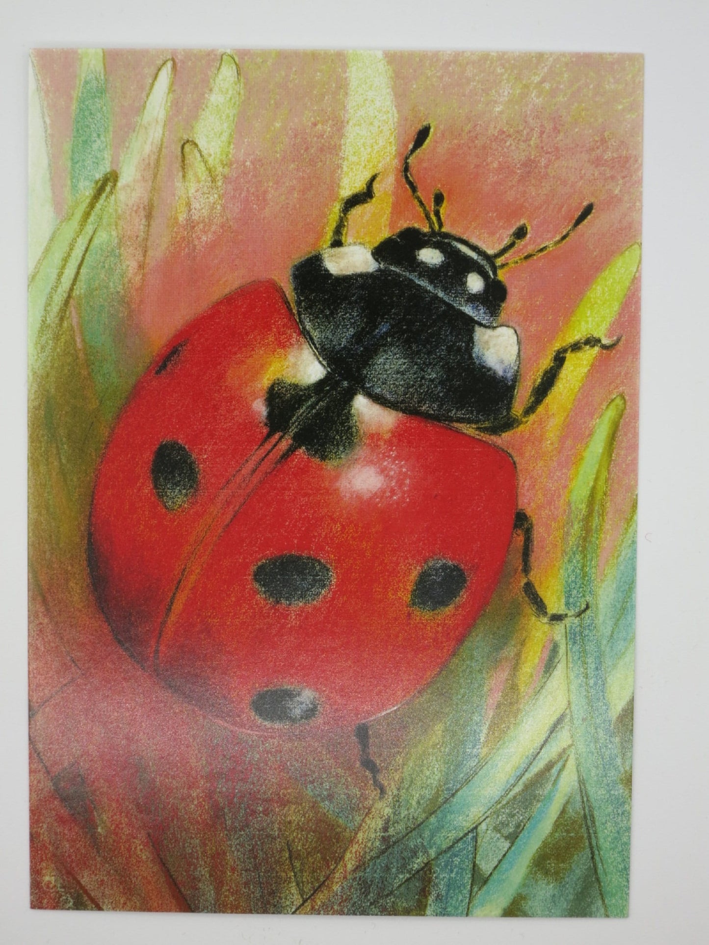 Marienkäfer - Postkarte  Art. PKSO203