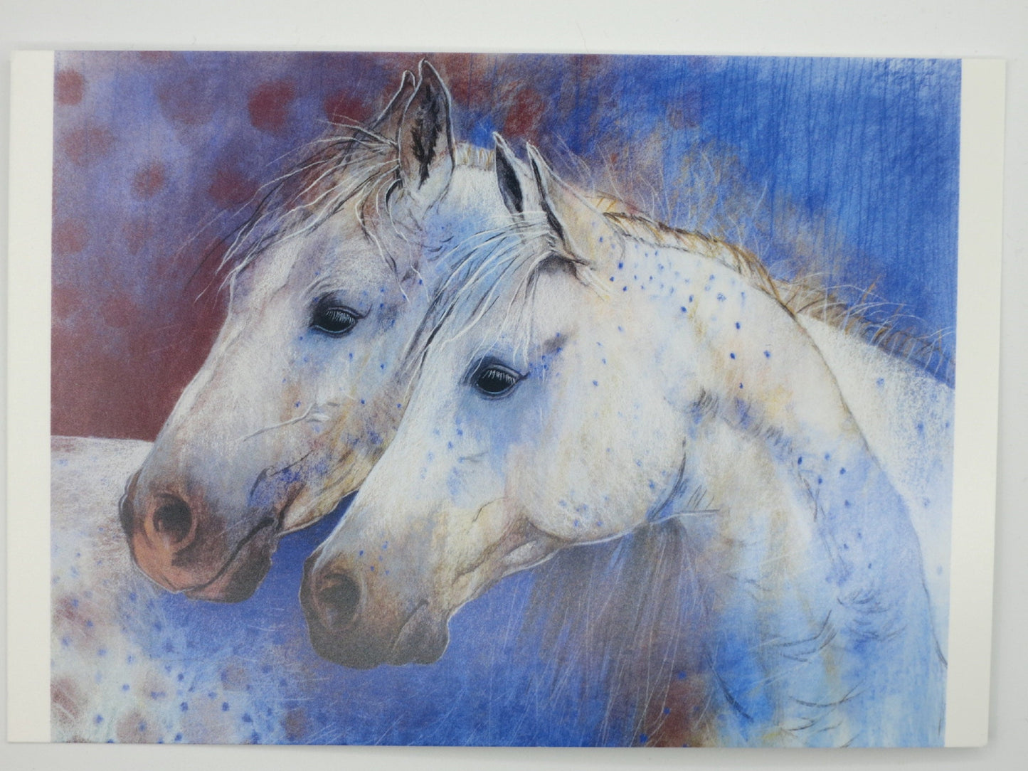 Zwei Pferde - Postkarte - Waldorf - Art. SOPK178