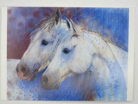 Zwei Pferde - Postkarte - Waldorf - Art. SOPK178