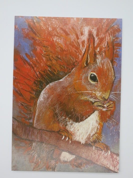 Eichhorn - Postkarte - Art.PKHE183