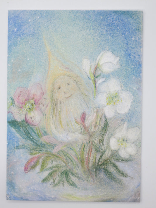 Zwerg mit Christrose - Postkarte - Waldorf Art.Nr PKWI113