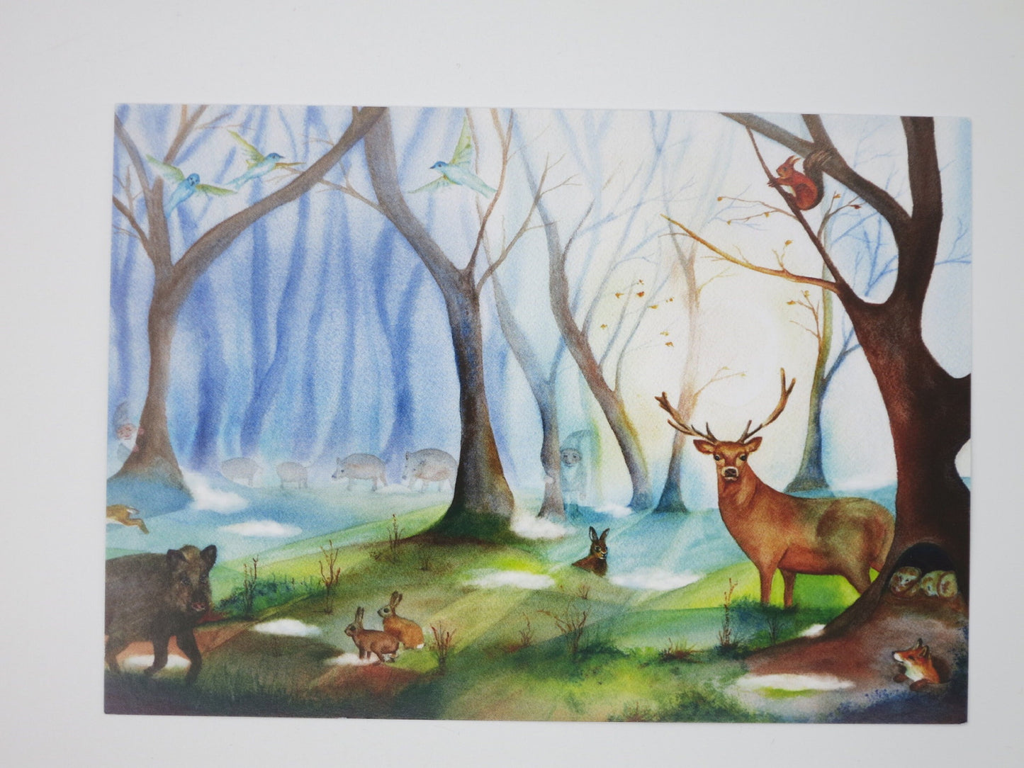 Tiere im Winter - Postkarte - Art.PKWI267