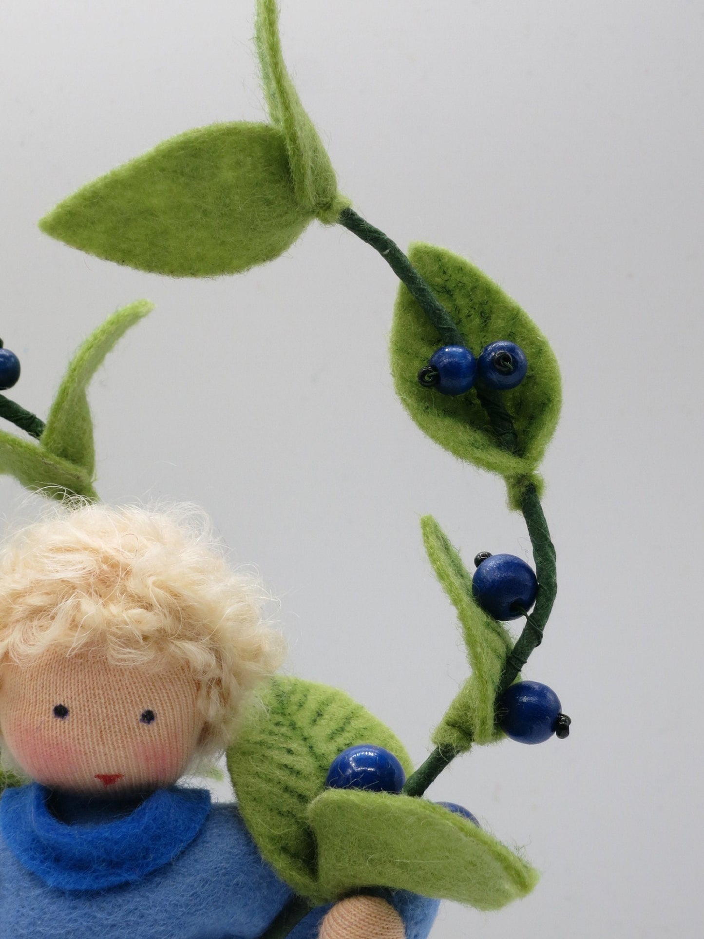 Heidelbeere Junge- Blumenkind - Art. SO62