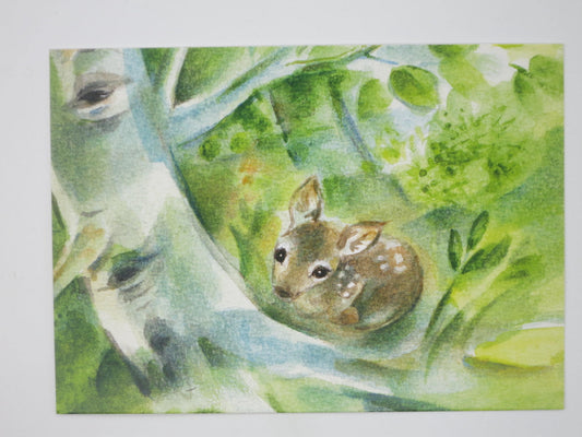 Waldblick Art.PKFR15