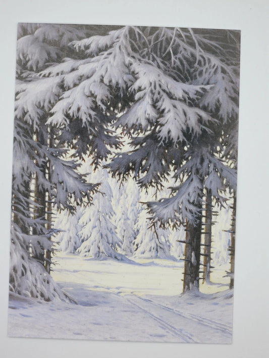 Waldinneres- Postkarte Art.PKWI213