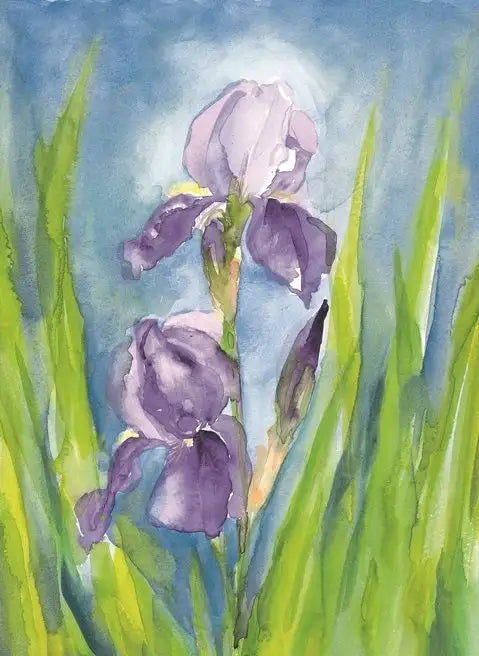 Iris - Waldorf - Postkarte Art.Nr.PKFR155