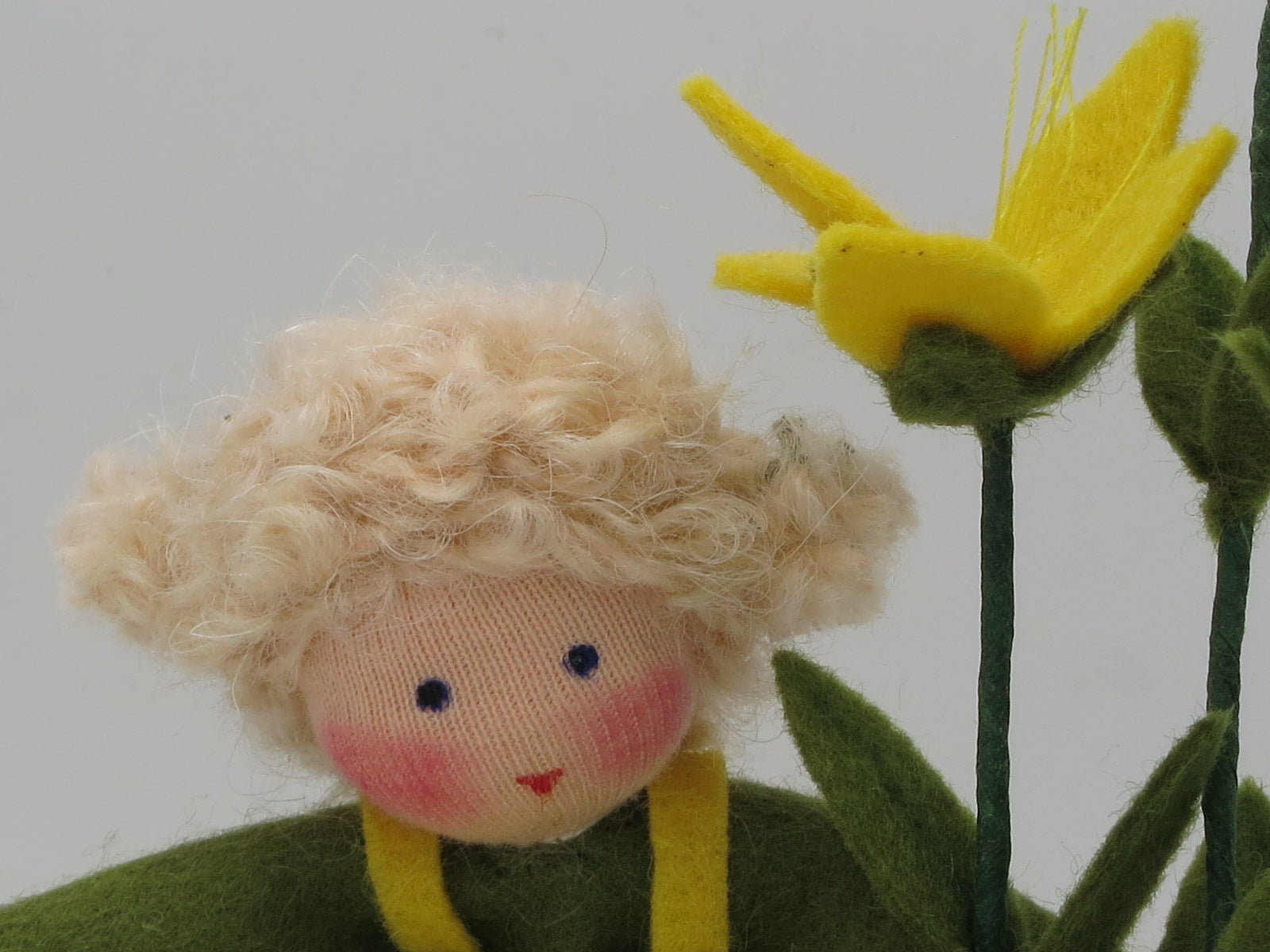 Detailaufnahme der gelben Johanniskraut-Blüten mit feinen Staubfäden aus Filz.