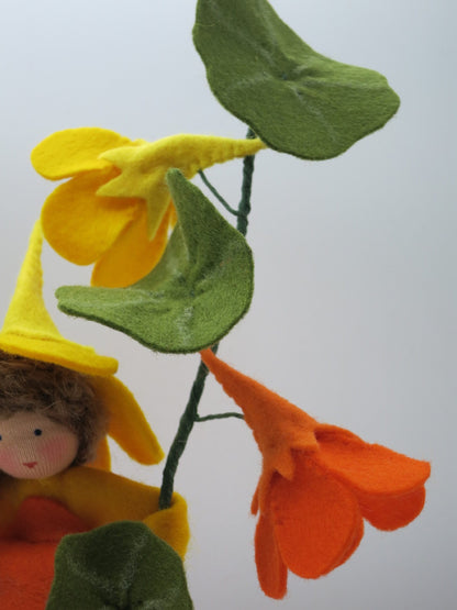 Nahaufnahme der gelben und orangen Trichterblüten mit deutlichem Sporn.