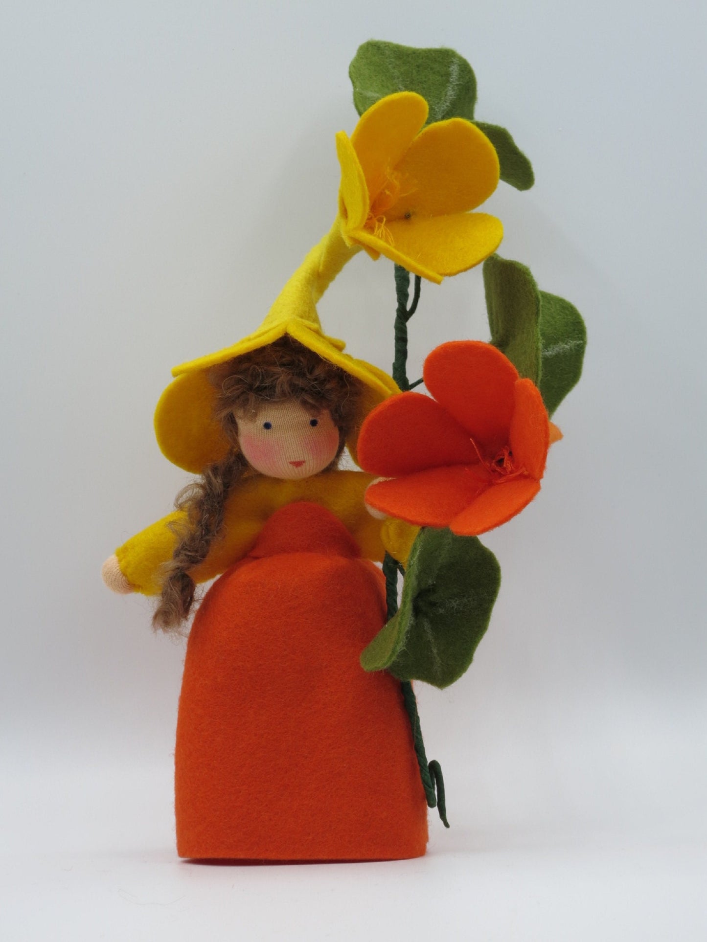Frontale Nahaufnahme der Kapuzinerkresse-Figur mit orangefarbener Sporn-Blüte.