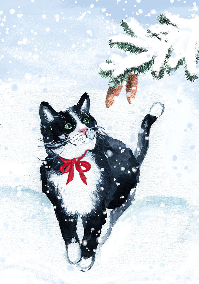 Katze im Schnee Weihnachtspostkarte – Bicolor-Katze mit rotem Band unter Tannenzweig, Bettina Beuttenmüller, Jahreszeitentisch