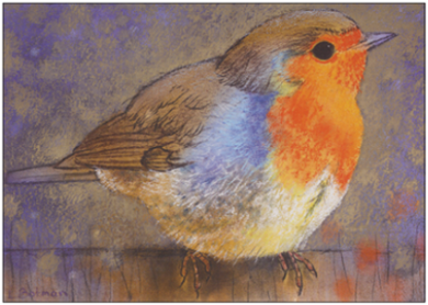 Rotkehlchen III - Postkarte  - Waldorf Art.Nr.PKWI301