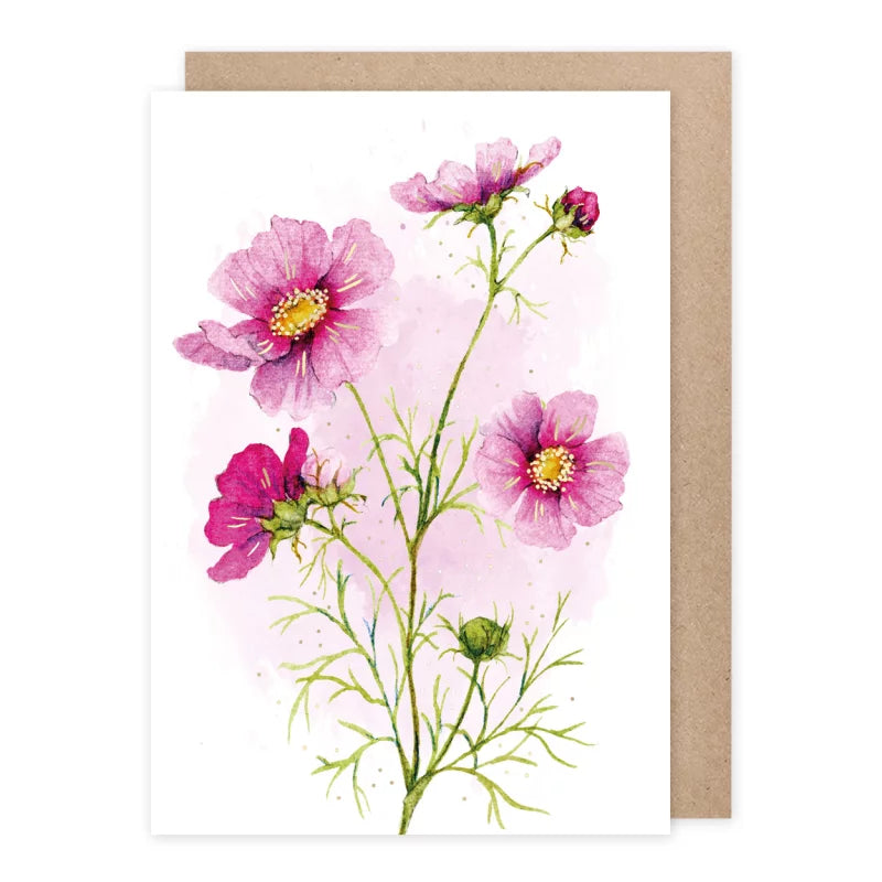 Grußkarte mit Kosmeen-Blüten in Magenta und Rosa – Cosmea Doppelkarte mit Umschlag PKGR34
