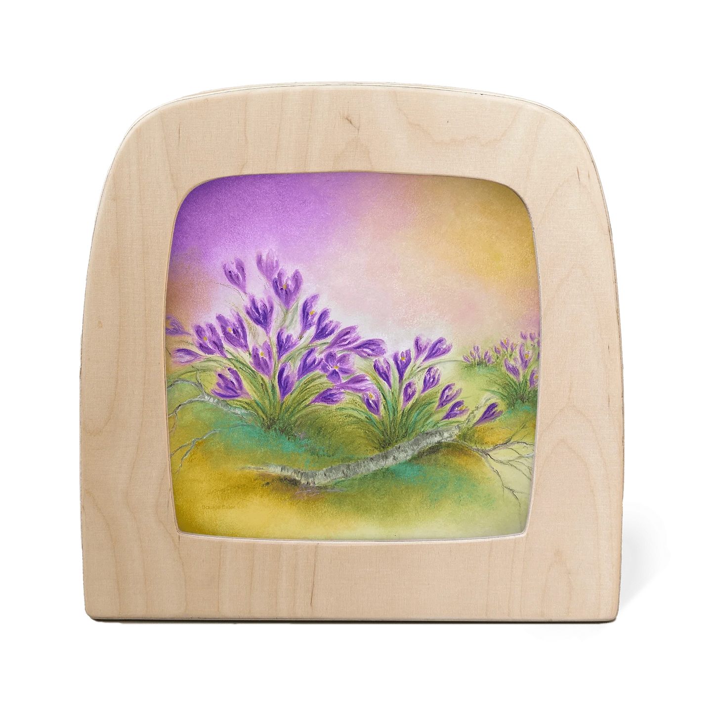 Toverlux Motiv Krokus: violette Krokusse am Birkenhang im Vorfrühling