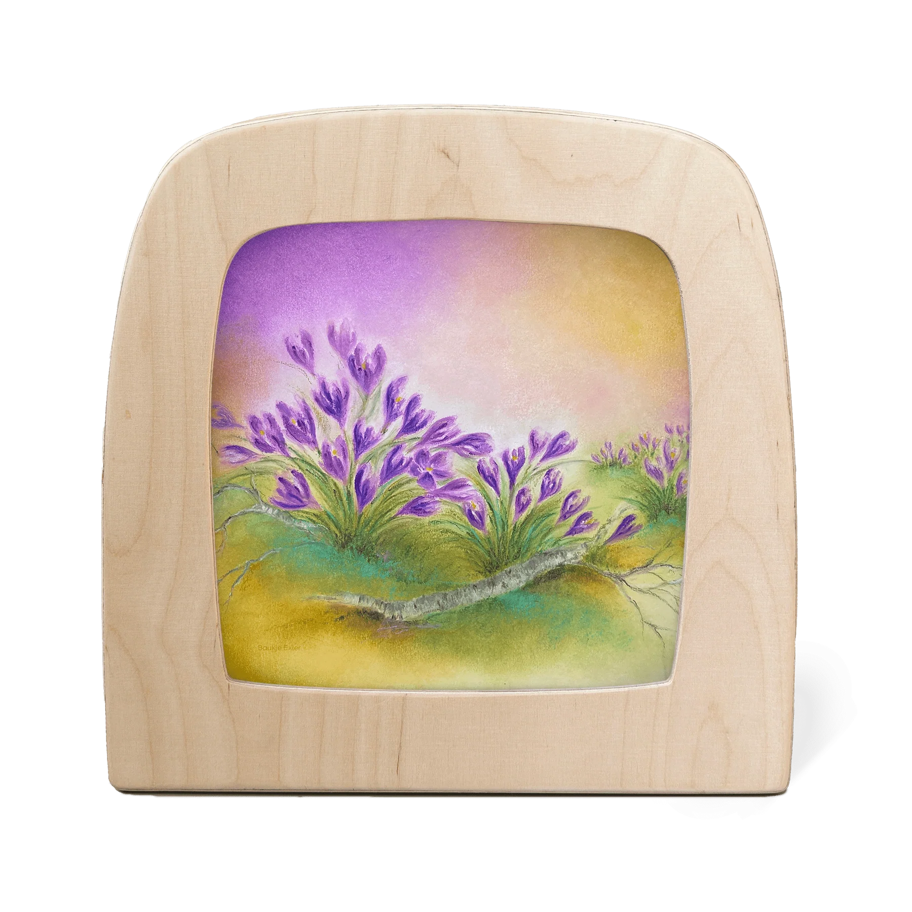 Toverlux Motiv Krokus: violette Krokusse am Birkenhang im Vorfrühling