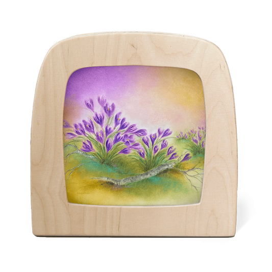 Toverlux Motiv Krokus: violette Krokusse am Birkenhang im Vorfrühling
