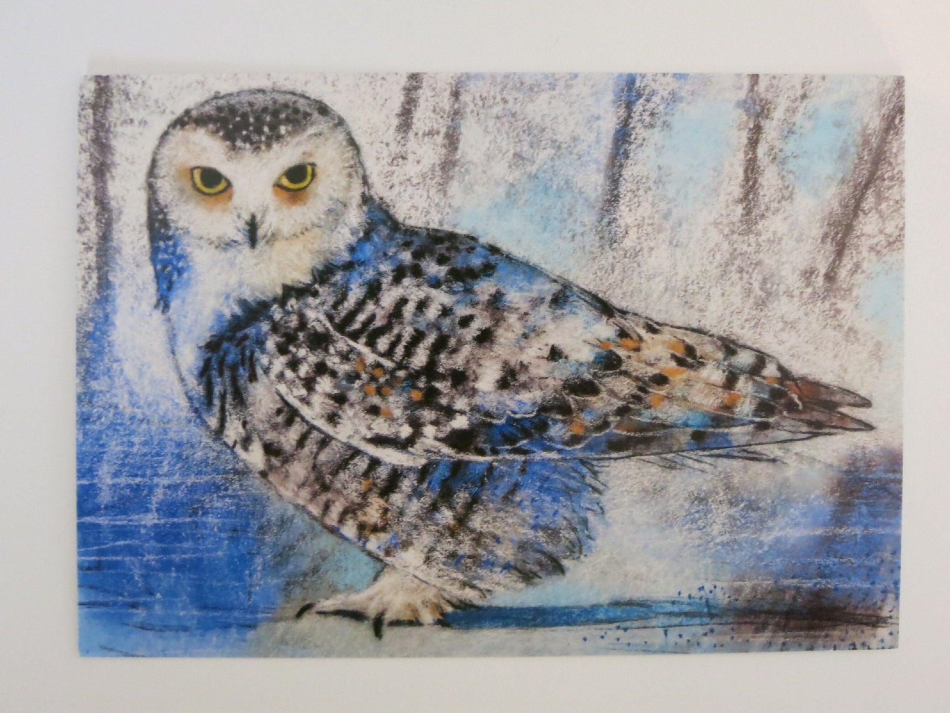 Kunst-Postkarte „Schnee-Eule“ von Loes Botman: Schnee-Eule in Pastellkreide-Technik im winterlichen Birkenwald, Postkarte mit Motiven für Naturfreunde