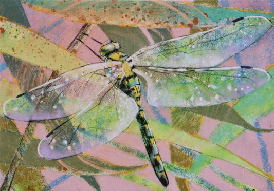 Die Libelle - Waldorf Postkarte  Art.Nr.PKSO144