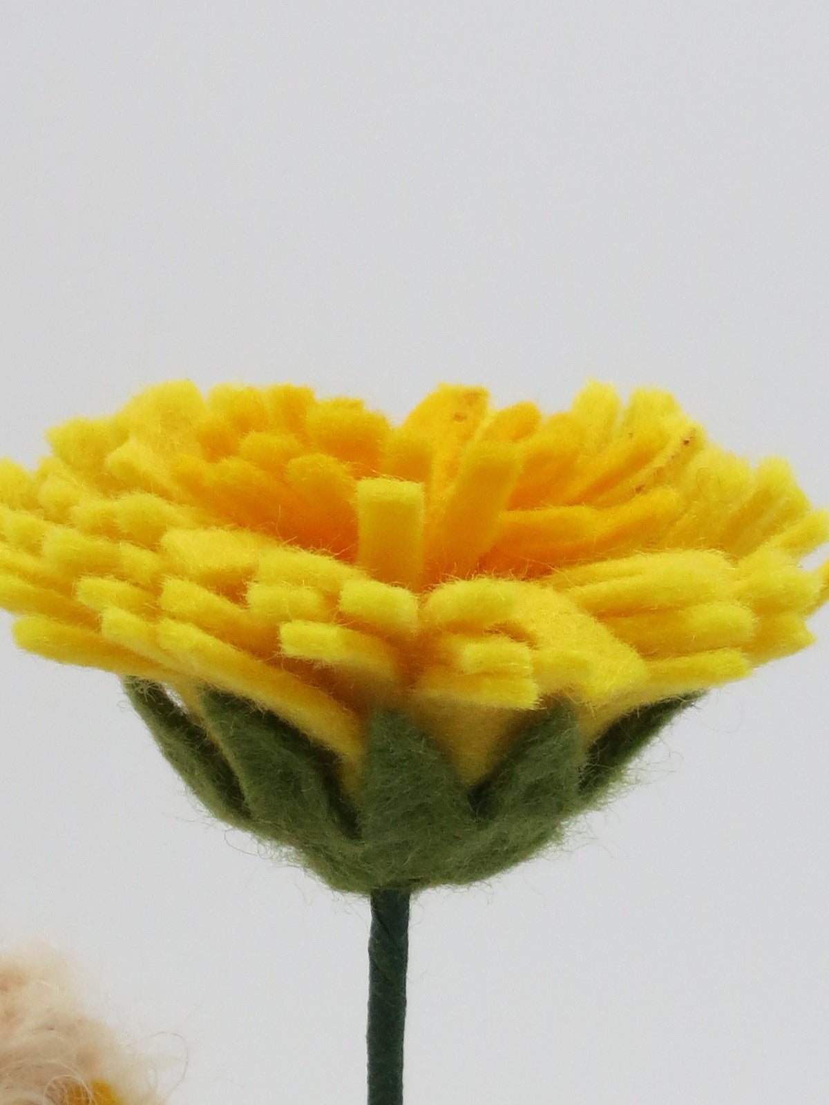 Löwenzahn-Junge Waldorf-Blumenkind mit kleinen gelben Filz-Pompons als Blütenkranz im lockigen Haar