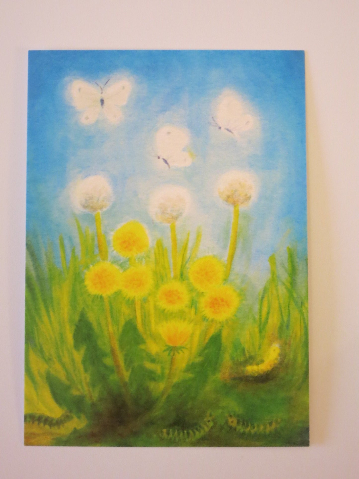 Waldorf Postkarte Loewenzahn und Schmetterlinge von Erika Hoffmann – Pusteblumen, Raupen und Schmetterlinge