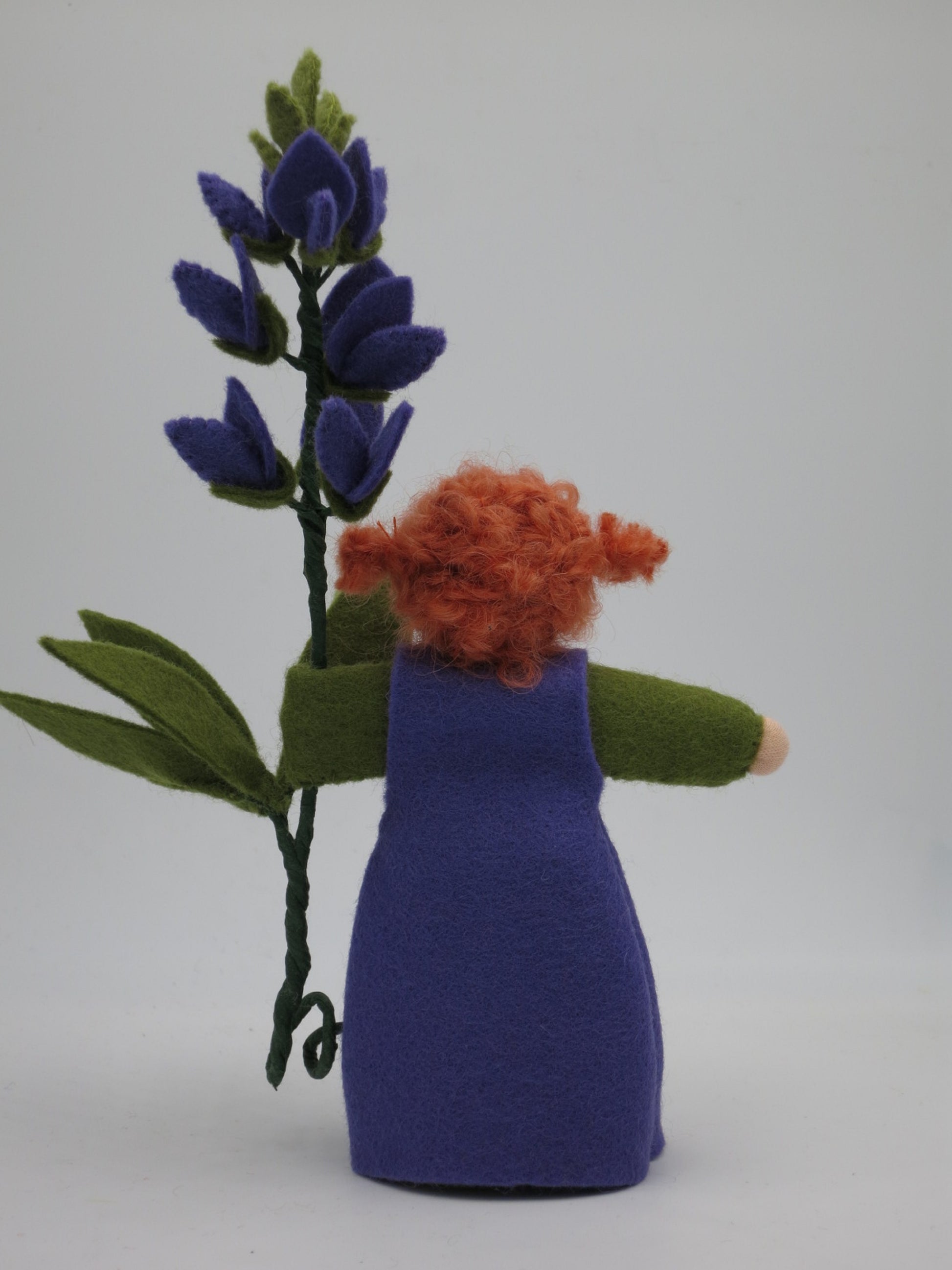 Lupine-Blumenkind mit dem typischen siebenteilig gefingerten Lupinenblatt