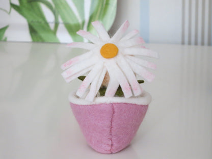 Kleine Margerite - Waldorf - Blumenkind - Jahreszeitentisch - Art. SO110