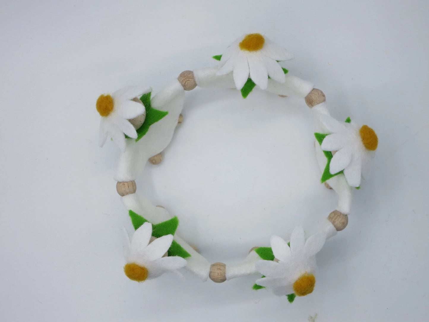 Ansicht von oben auf den geschlossenen Kreis aus fünf weißen Margeriten-Blumenkindern für die Frühlingsdekoration.