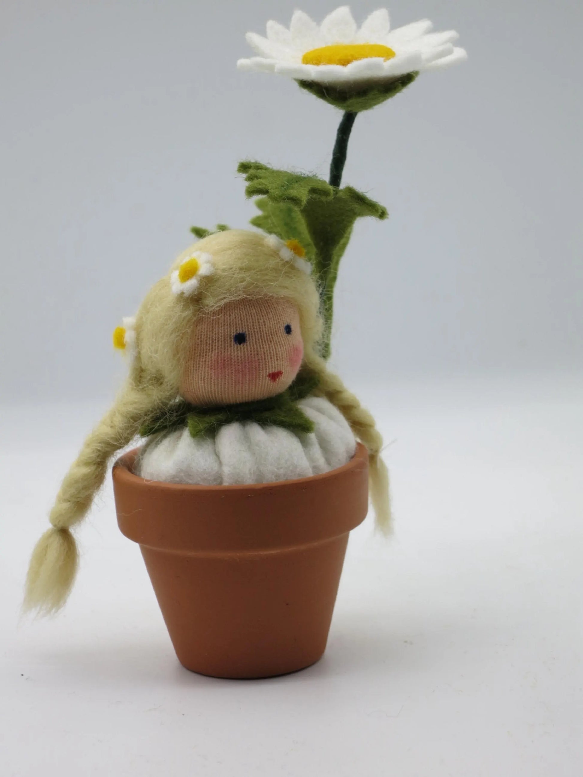 Gesamtansicht des Margeriten-Topfblümchens mit großer weißer Filzblüte, grünem Stiel und geflochtenem blondem Wollhaar.
