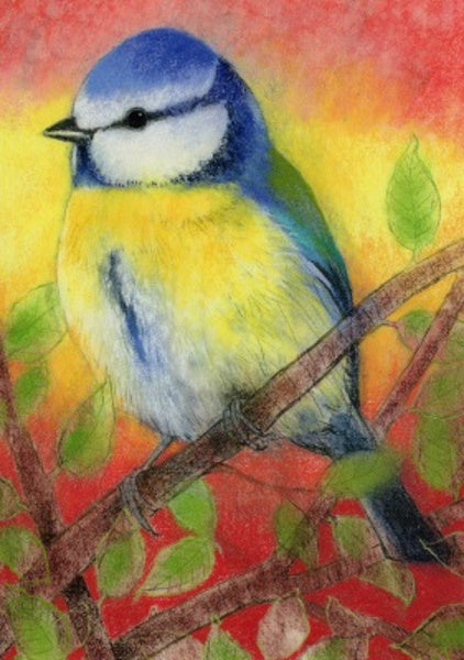 Postkarte Meise von Loes Botman: Blaumeise in Nahaufnahme auf einem Zweig