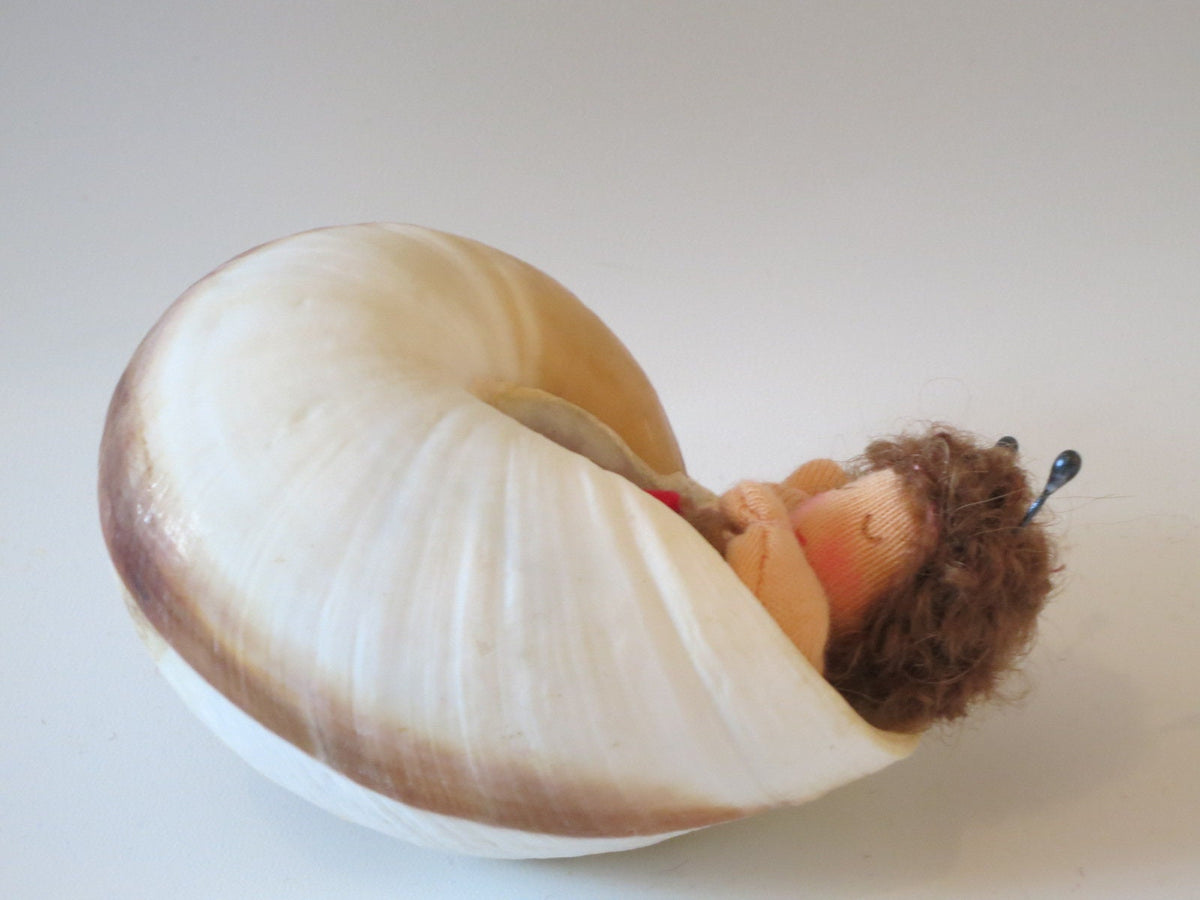 Seitenansicht des Schneckchens mit Perlkopf-Fühlern im lockigen Haar.
