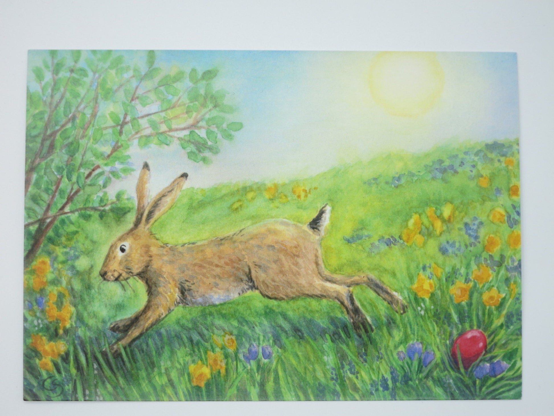 Feldhase springt über eine Frühlingswiese mit Narzissen und rotem Osterei, Postkarte von Corinna Schwerdtfeger, Art. PKFR51