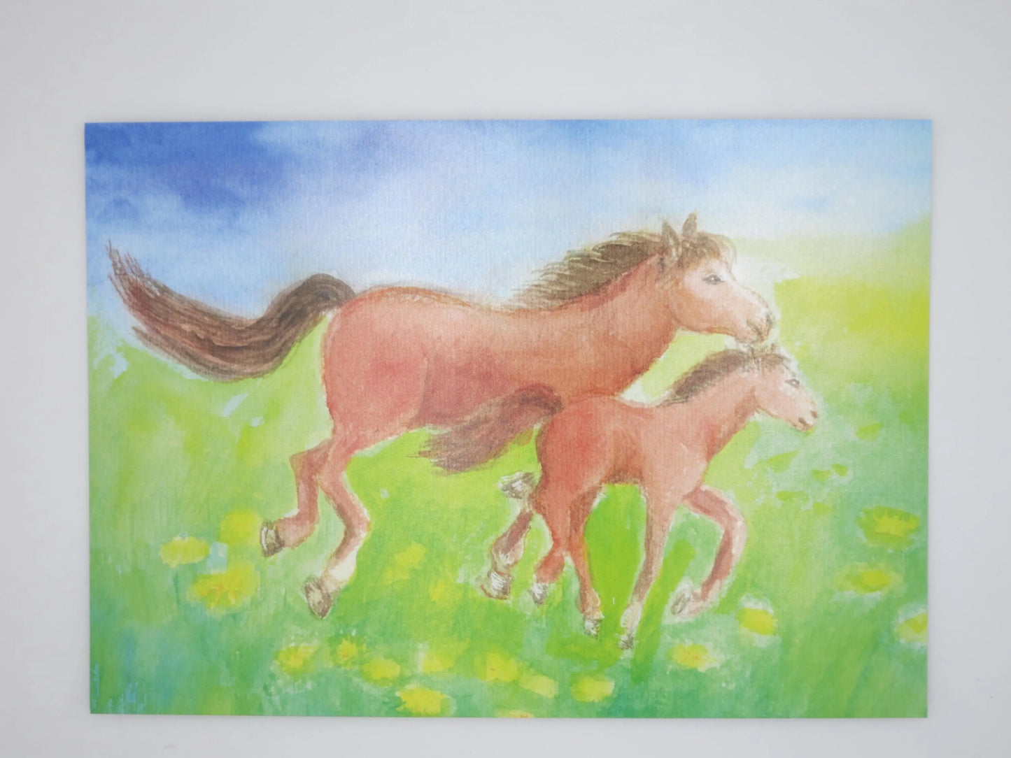 Postkarte Pferd und Fohlen – Stute und Fohlen im Galopp durch Loewenzahnwiese, Aquarell von Dorothea Schmidt
