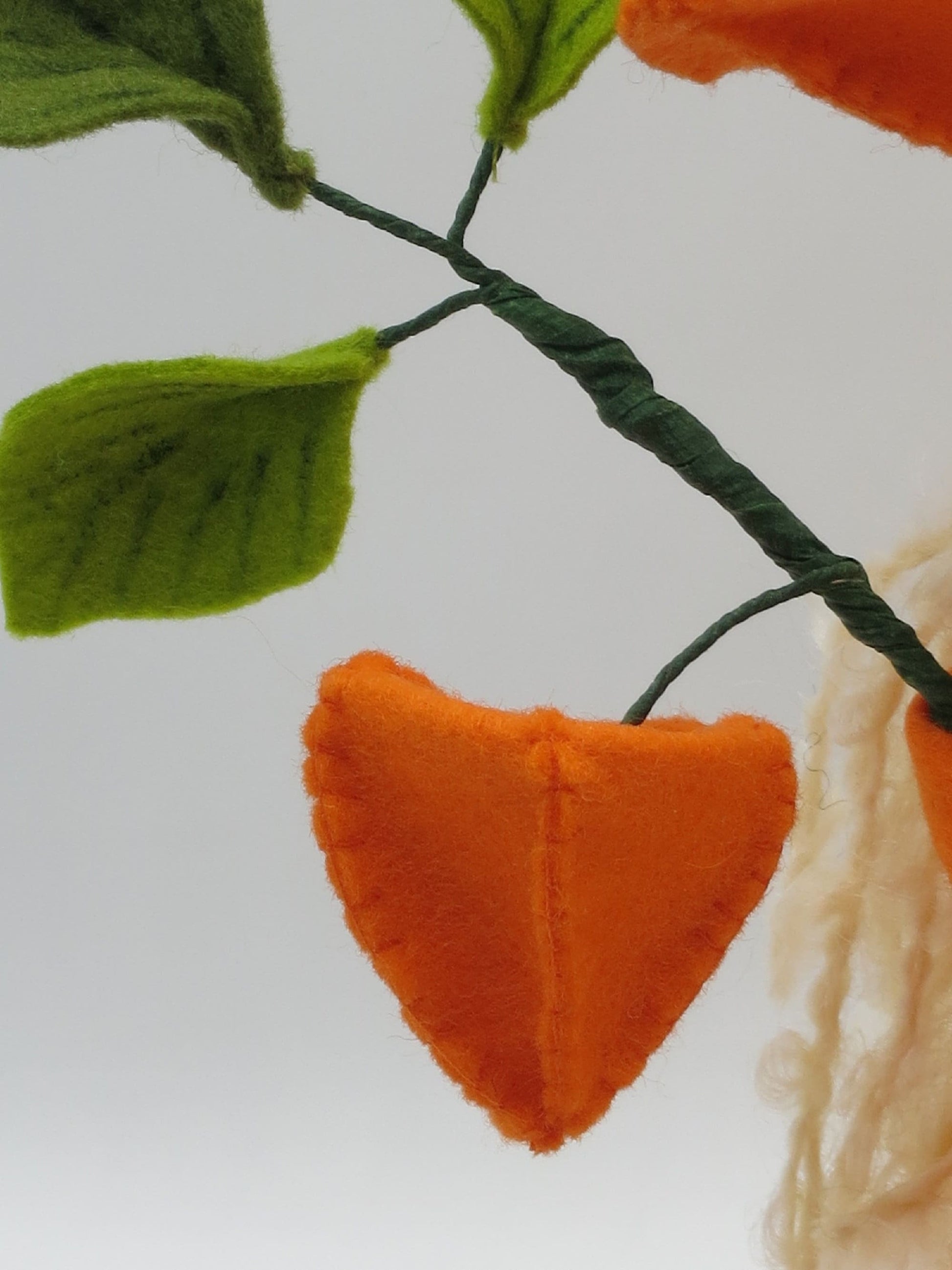 Detailaufnahme einer einzelnen orangen Physalis-Laterne am Zweig, Zubehör zur Lampionblume Art. HE49.