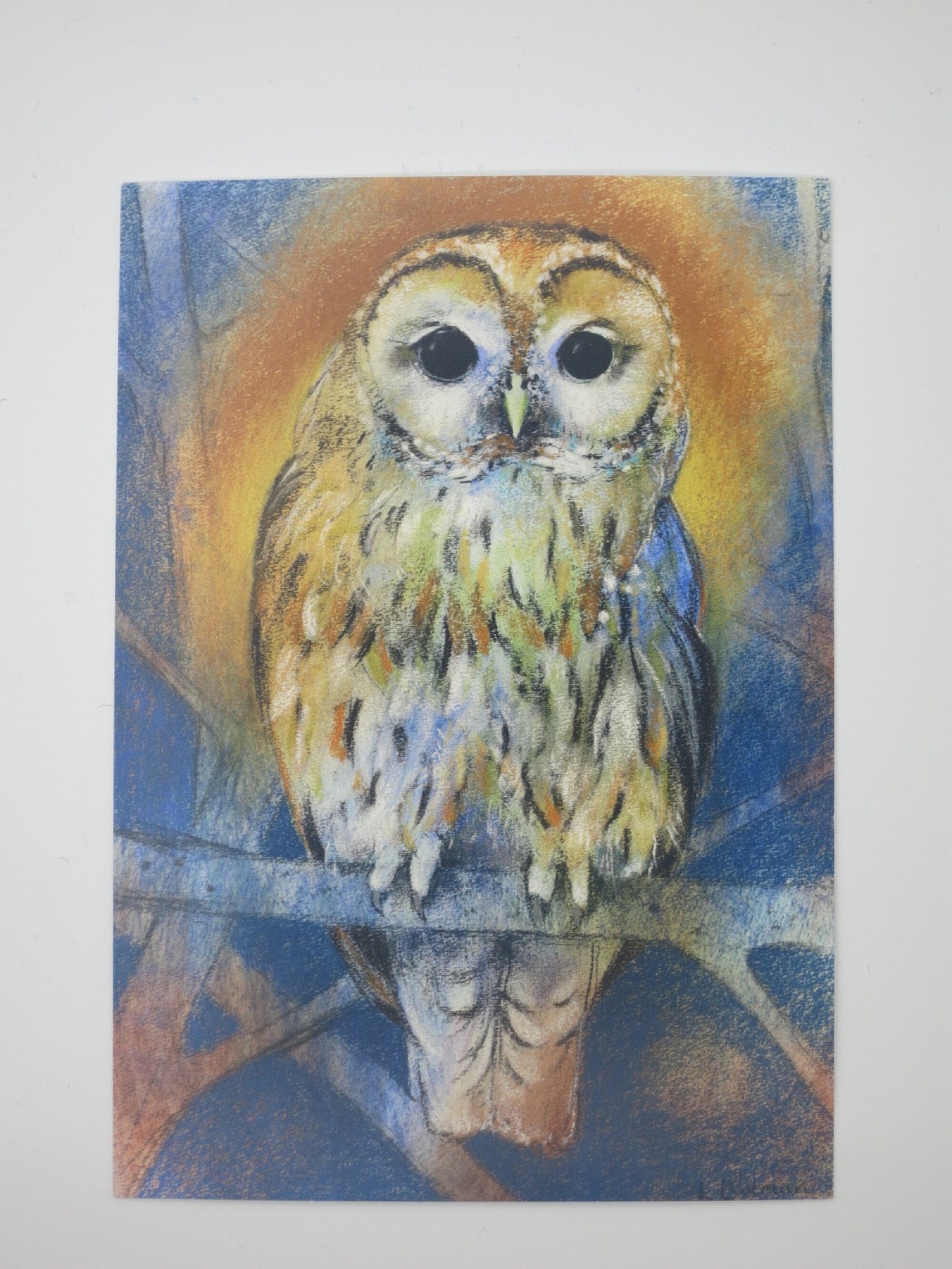 Postkarte Waldkauz von Loes Botman: Pastellporträt einer Eule mit großen dunklen Augen