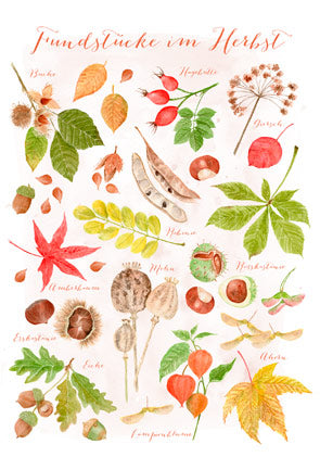 Postkarte Fundstücke im Herbst von Dörthe Brandt: Bucheckern, Hagebutten, Lampionblume und mehr