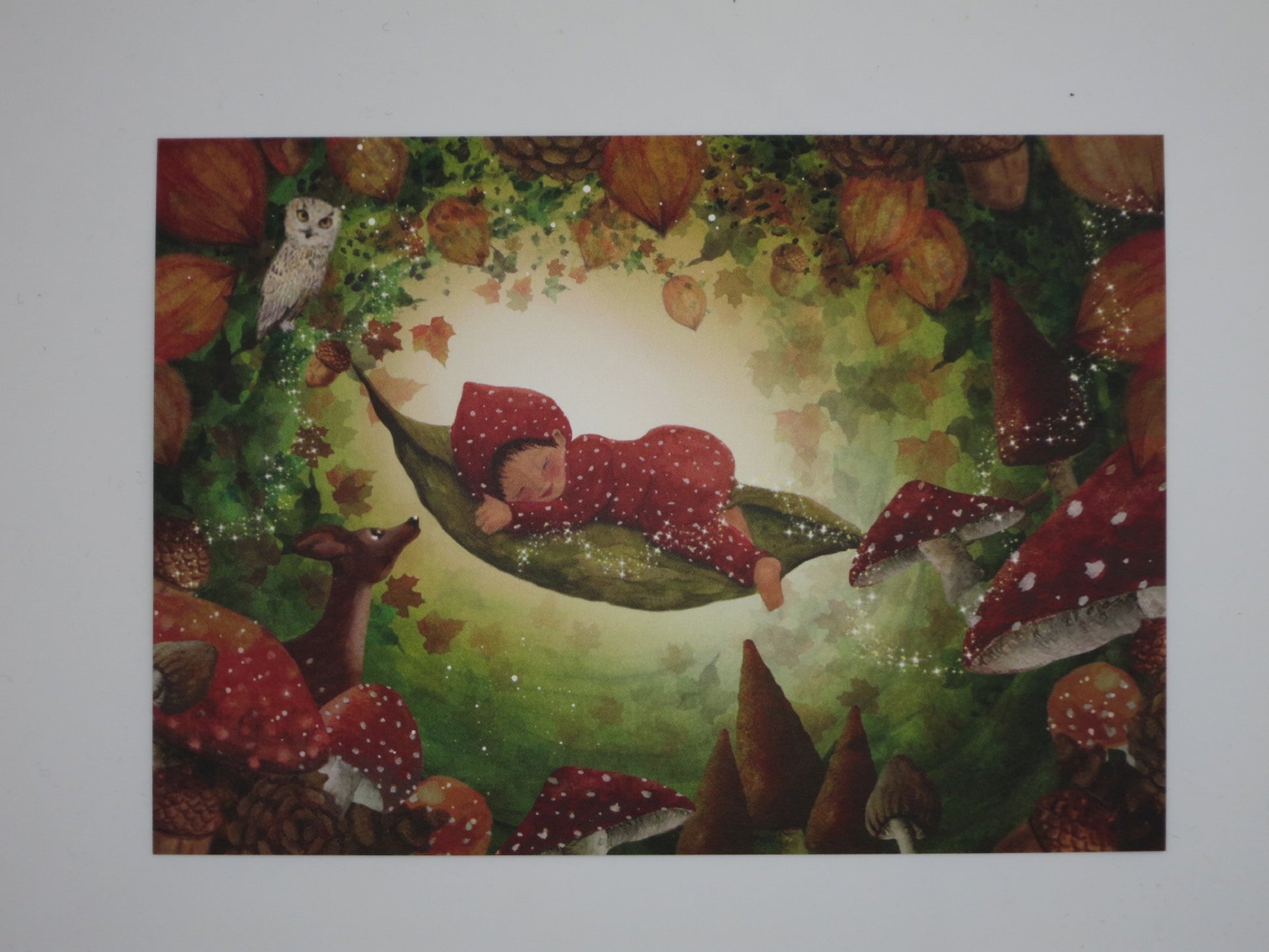 Postkarte Pilzschaukel von Bijdehansje: schlafendes Wichtelbaby auf einem Blatt zwischen Fliegenpilzen