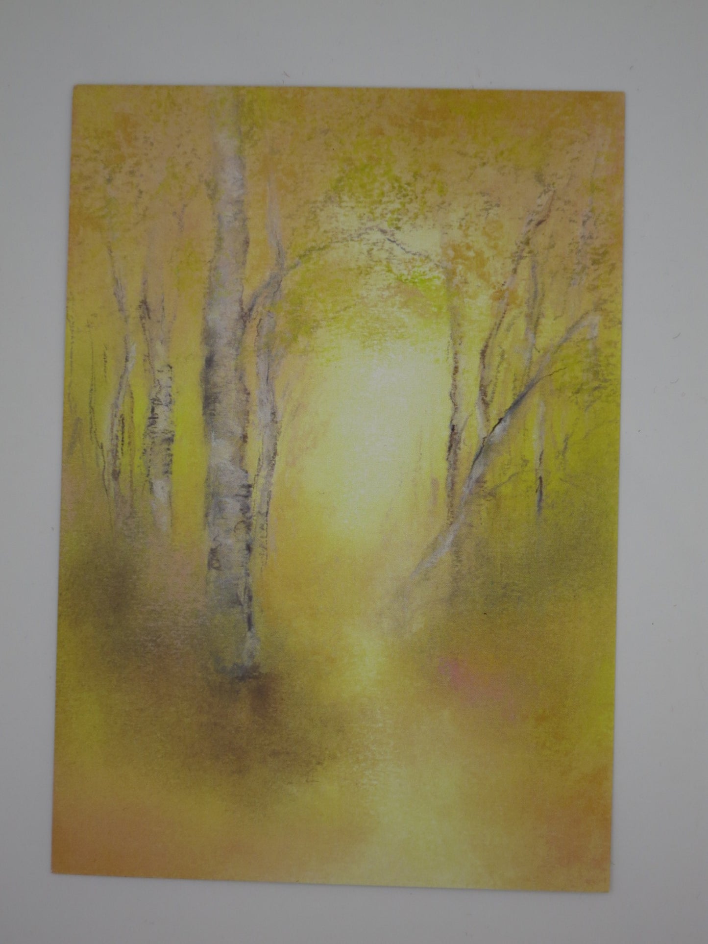 Postkarte Birkenwald von Baukje Exler: Birken im goldenen Herbstlicht, Pastellzeichnung
