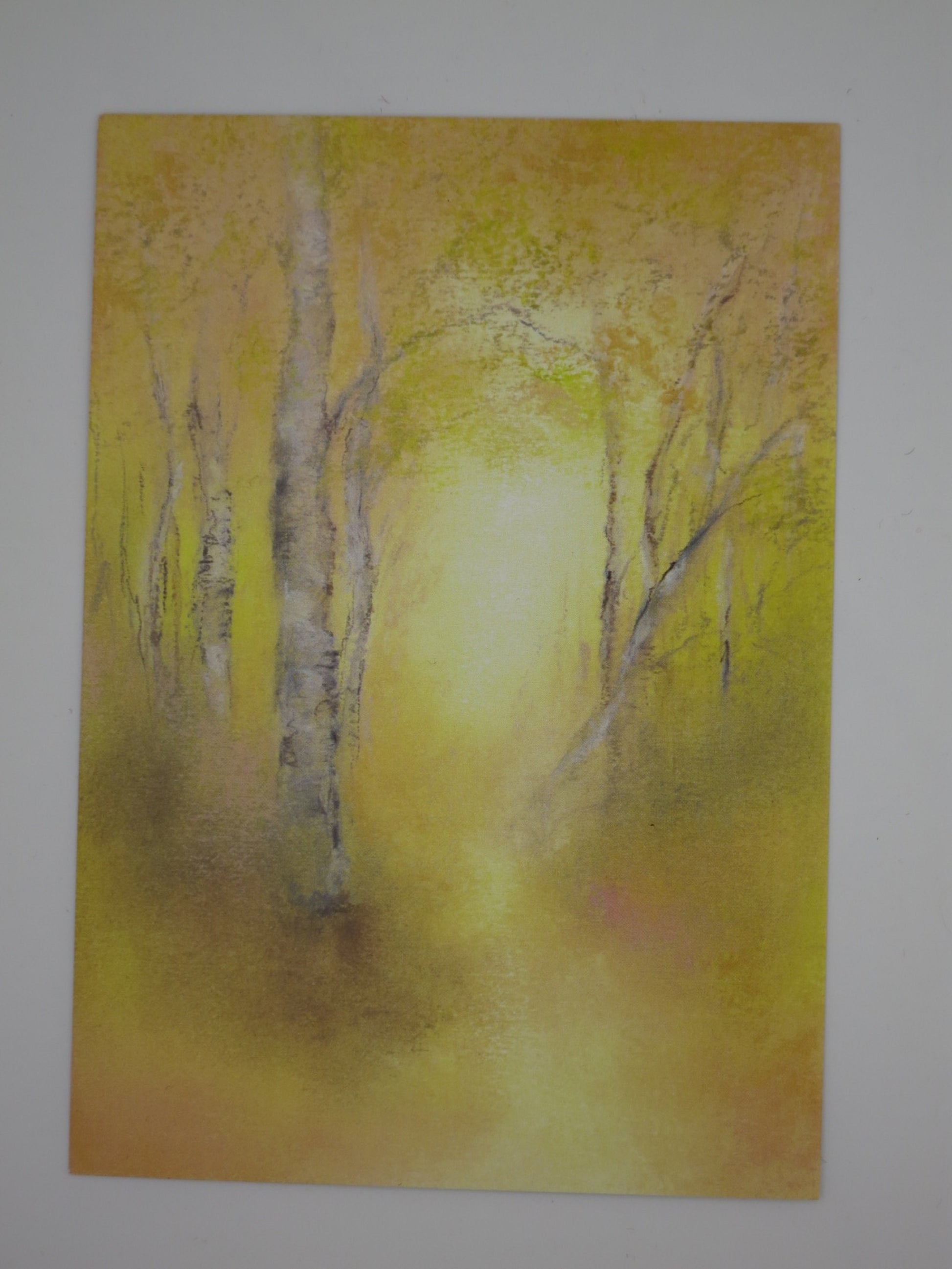 Postkarte Birkenwald von Baukje Exler: Birken im goldenen Herbstlicht, Pastellzeichnung