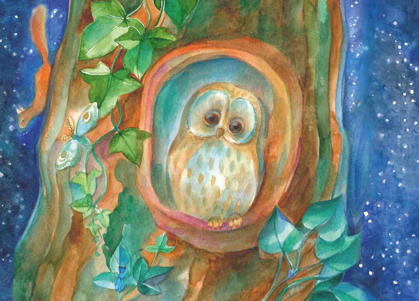 Postkarte Gute Nacht von Marie Laure Viriot: junge Eule in einer Baumhöhle bei Nacht