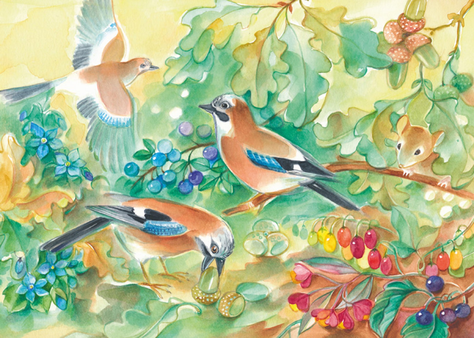 Postkarte Eichelhäher von Marie Laure Viriot: drei Vögel sammeln Eicheln und Beeren