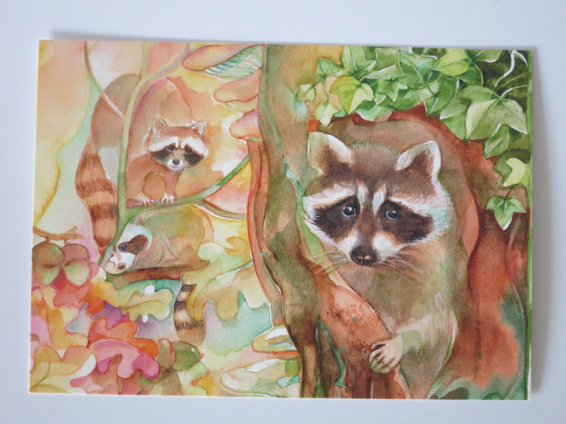 Postkarte Der Waschbär von Marie Laure Viriot: drei Waschbären im Eichenlaub