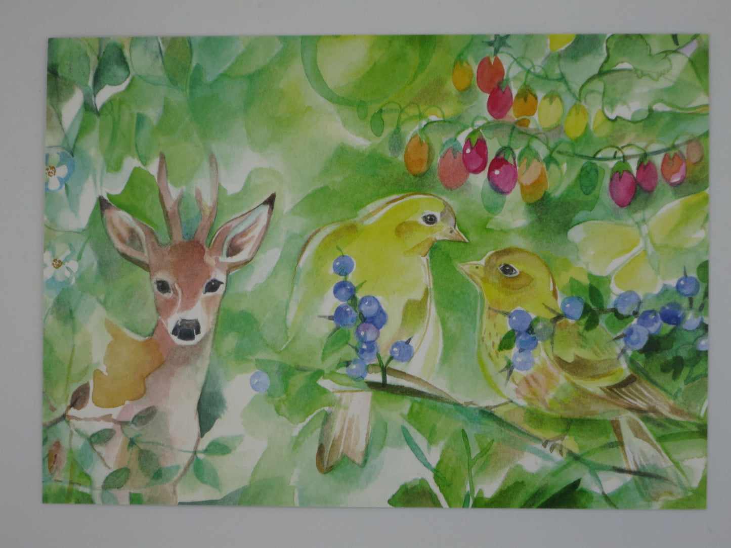 Sommer Postkarte Beerenzeit PKSO346: Reh mit Vögeln und Beerenzweigen
Zeichnung von Marie-Laure Viriot 